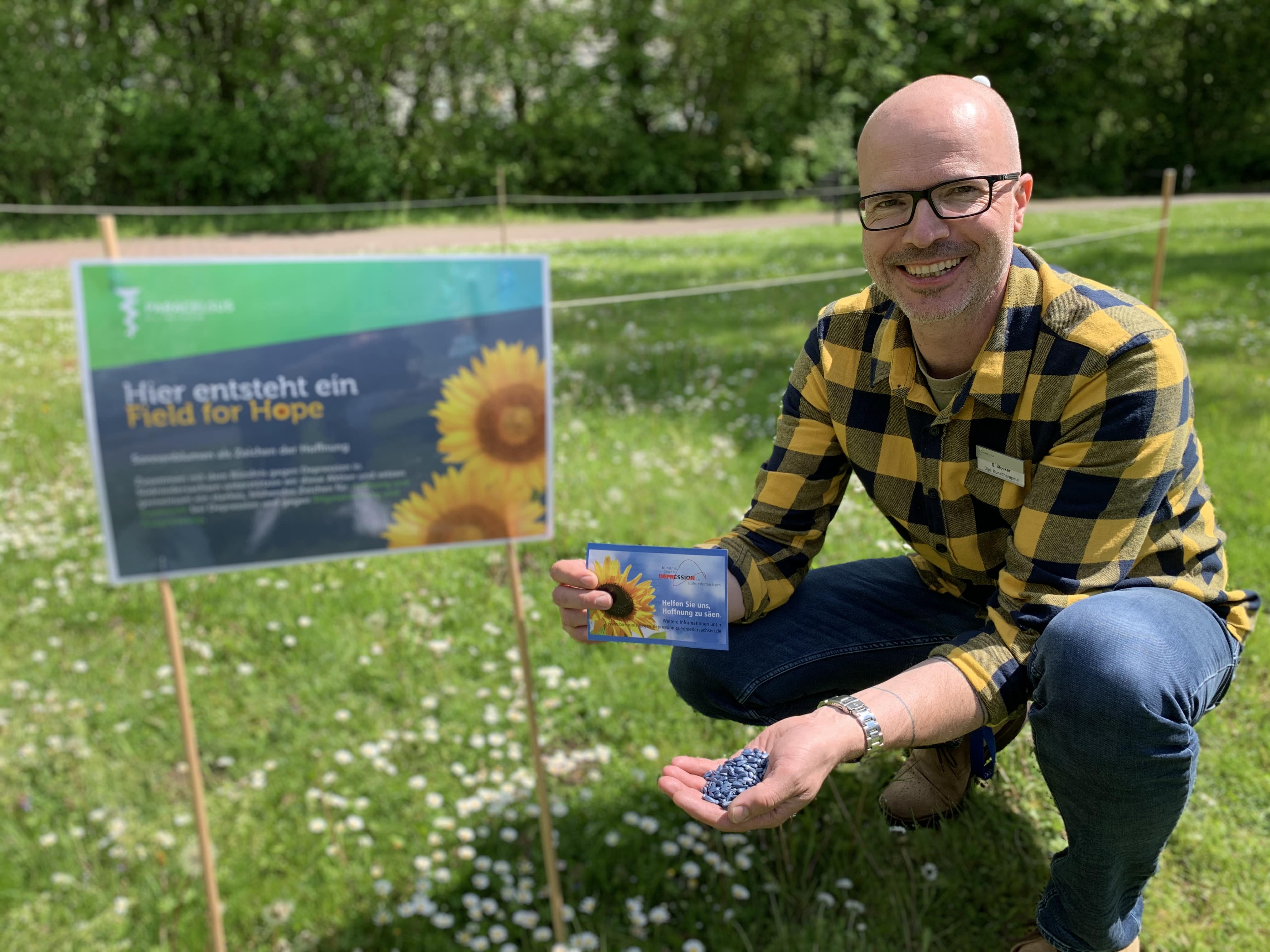 Sonnenblumen als Zeichen der Hoffnung