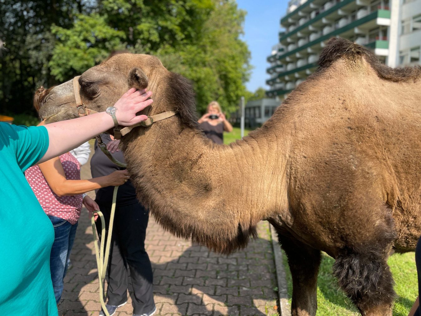 Tiergestützte Therapie in Bad Gandersheim