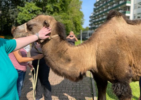 Tiergestützte Therapie in Bad Gandersheim