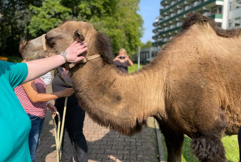 Tiergestützte Therapie in Bad Gandersheim