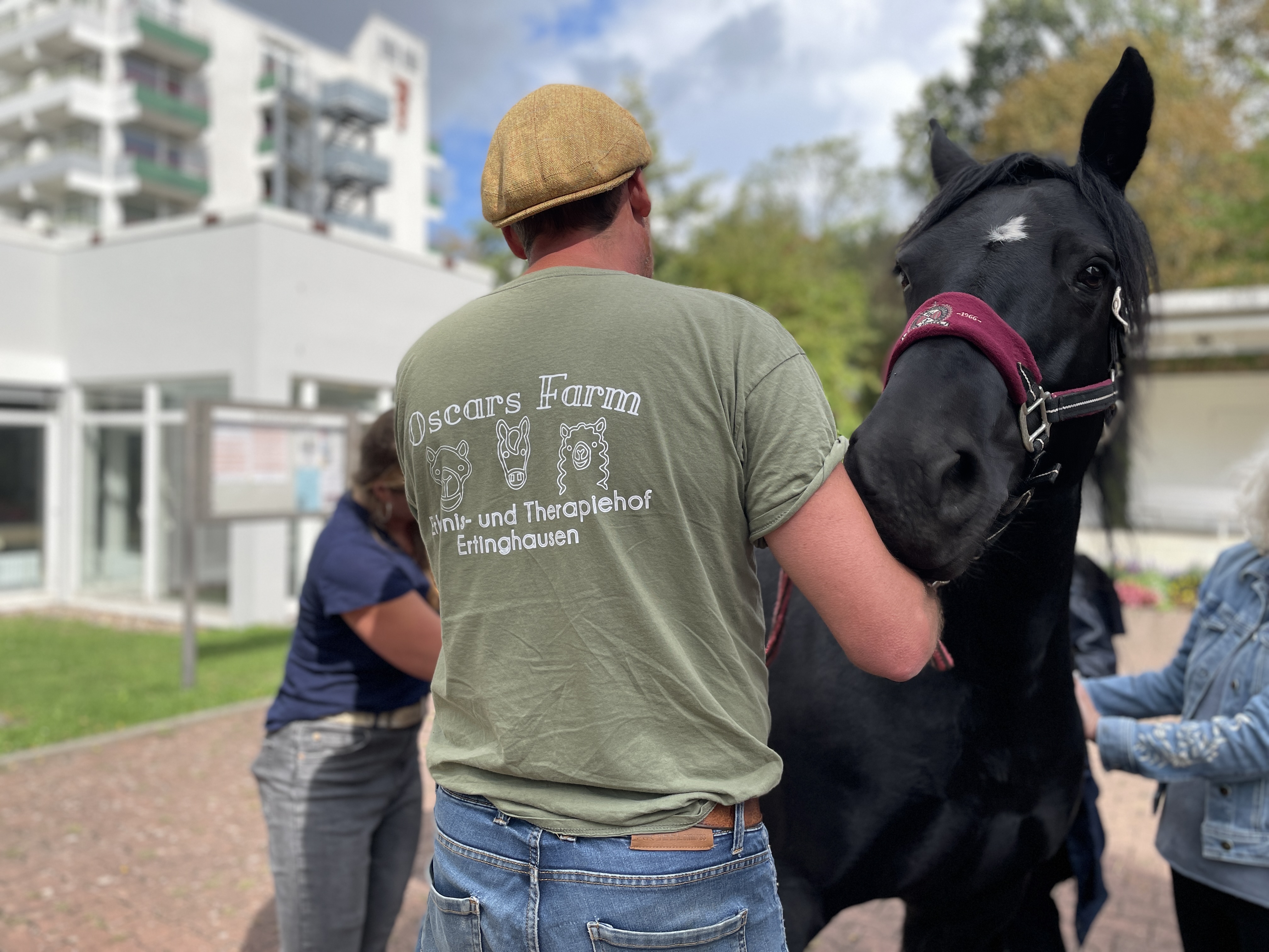 Für die tiergestützte Therapie in der Klinik werden Pferde eingesetzt.