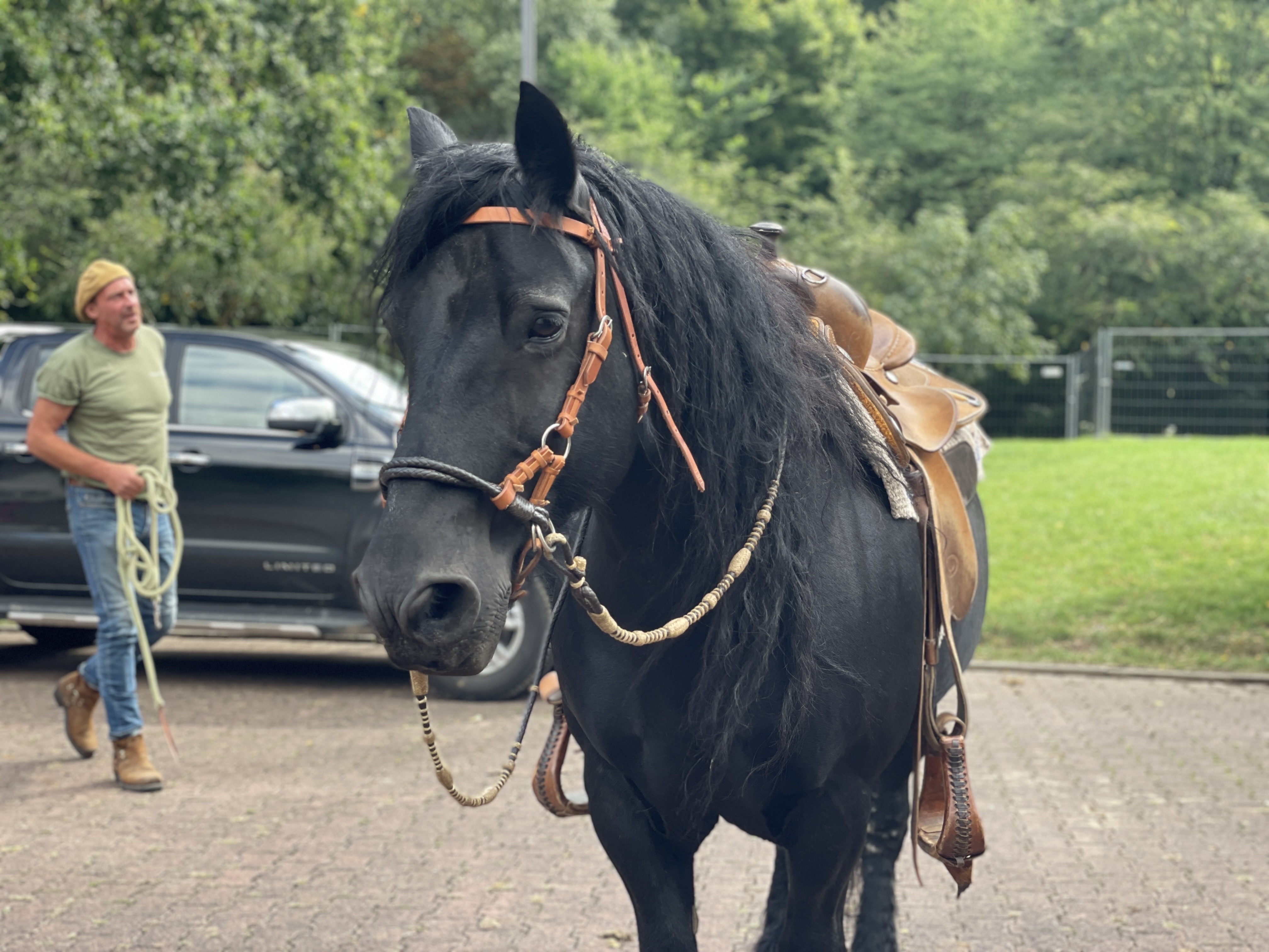 Ein Pferd im Park der Roswithaklinik Bad Gandersheim. Patienten profitieren von Begegnungen mit Tieren in der Klinik 