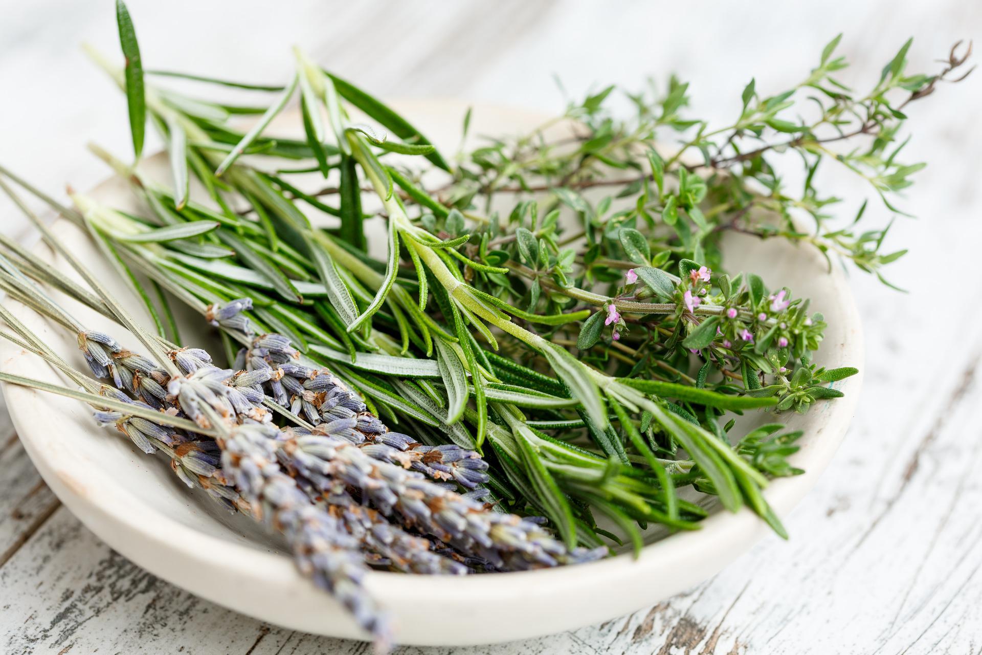 Superfoods und Heilpflanzen aus dem heimischen Kräutergarten