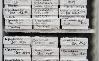 Liquor Freezing als Teil der Parkinson Früherkennungsforschung